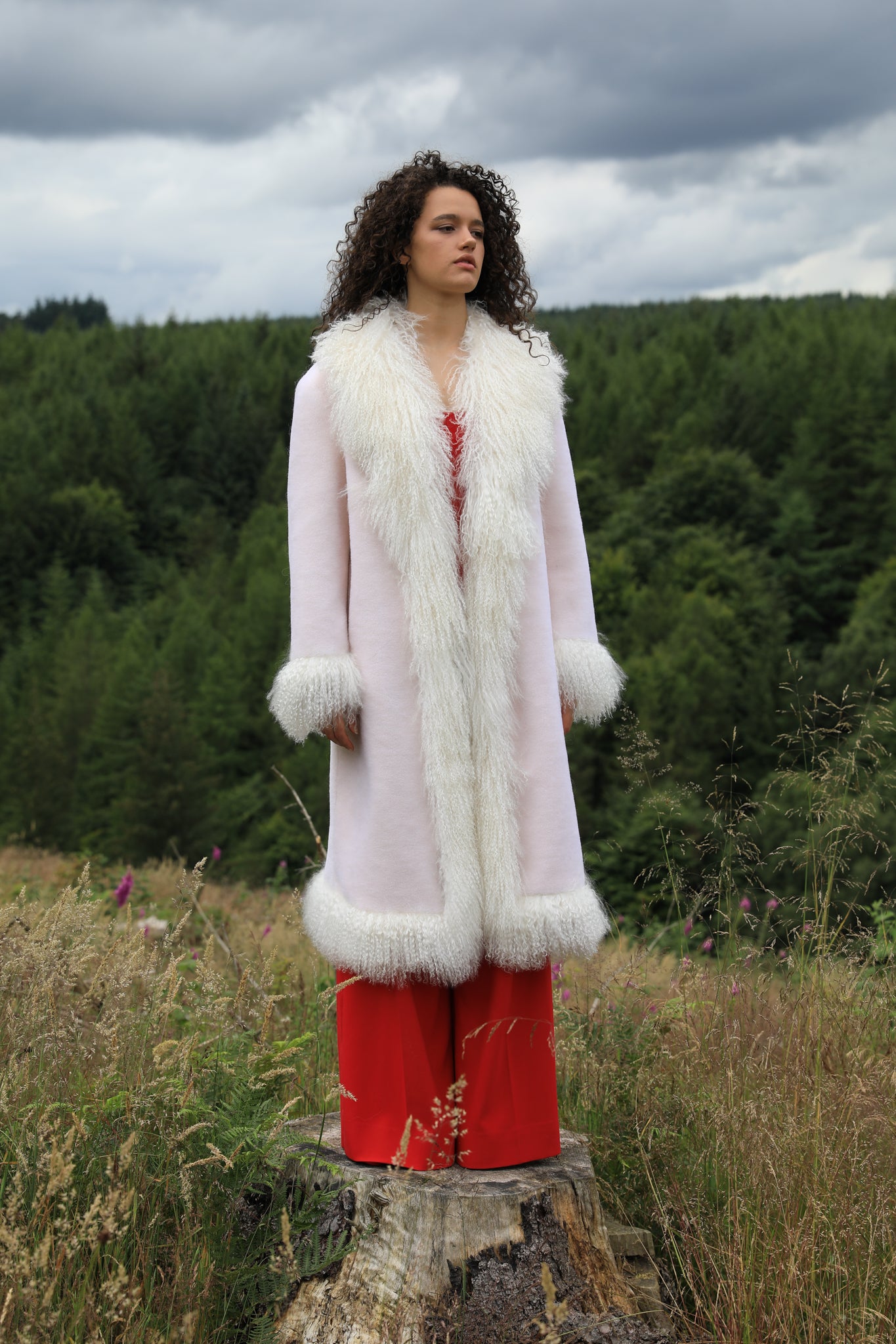 Josephine Jones Buttermint Genuine Shearling Coat with Mongolian Fur Trims - Longline silhouette, luxurious shearling fabric in a soft buttermint hue, adorned with elegant Mongolian fur trims. Perfect blend of style and warmth for the fashion-forward individual.