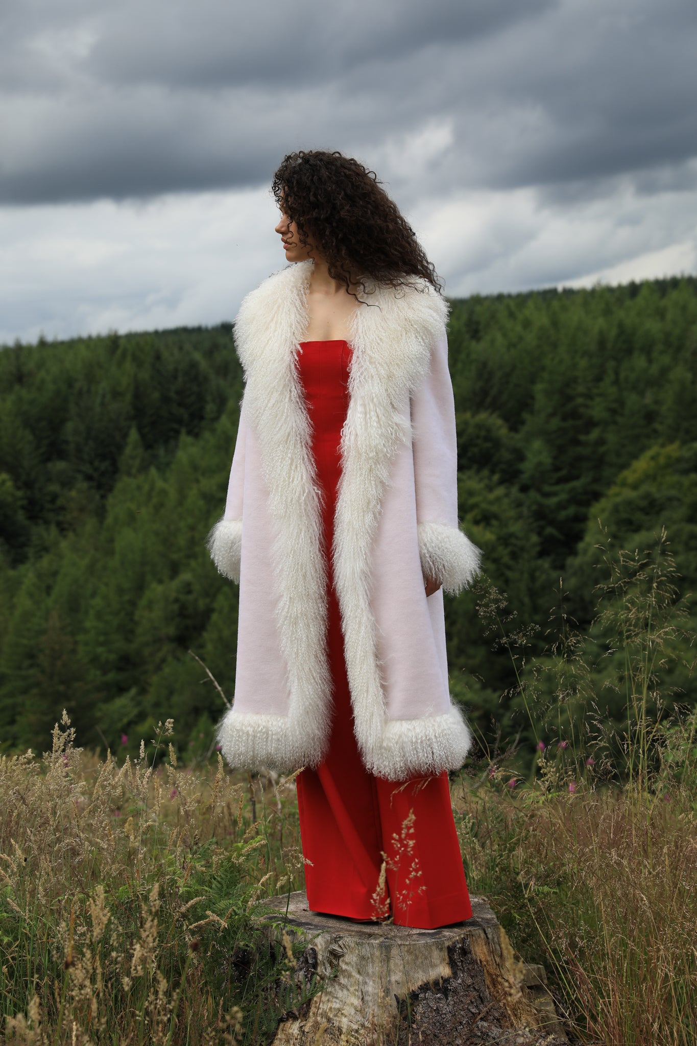 Josephine Jones Buttermint Genuine Shearling Coat with Mongolian Fur Trims - Longline silhouette, luxurious shearling fabric in a soft buttermint hue, adorned with elegant Mongolian fur trims. Perfect blend of style and warmth for the fashion-forward individual.